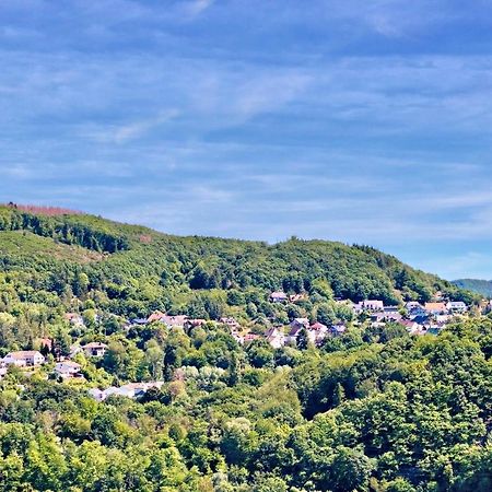 Natur Panorama Suiten Am Rursee Heimbach Kültér fotó